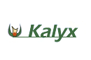 Kalyx返现比较与奖励比较